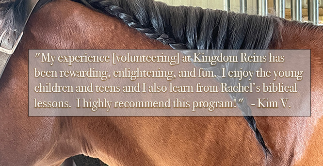 kingdom reins family feedback quote 2