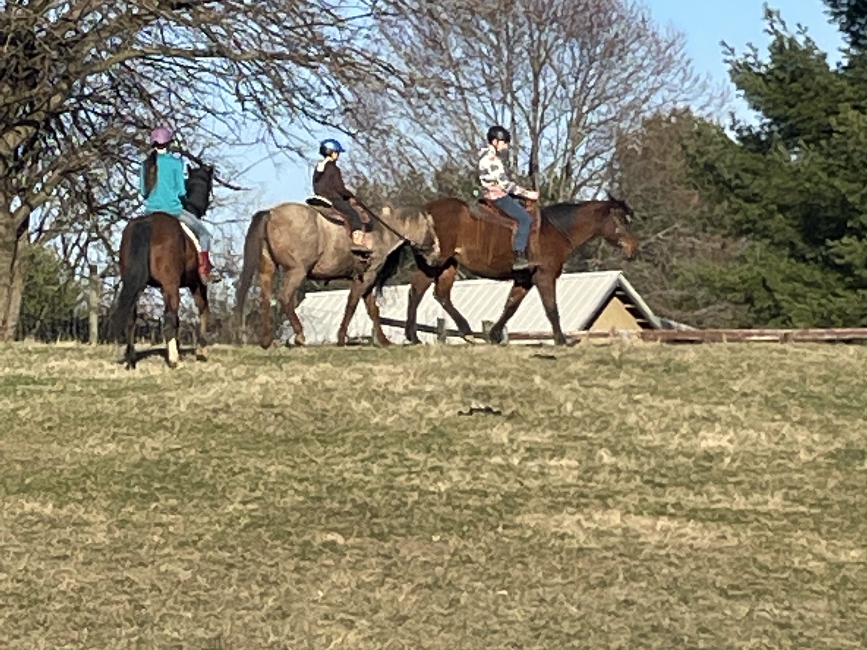 Equestrian and Adventure Day Camps for Kids