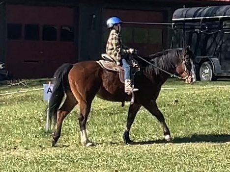 Horse Riding Lessons