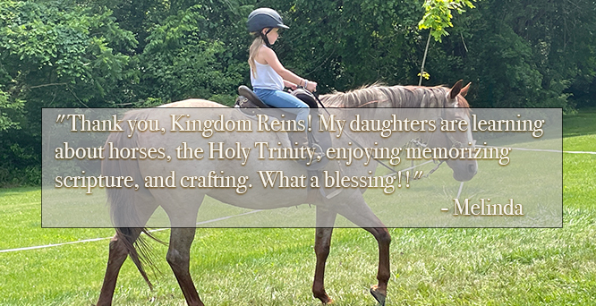 kingdom reins family feedback quote 4